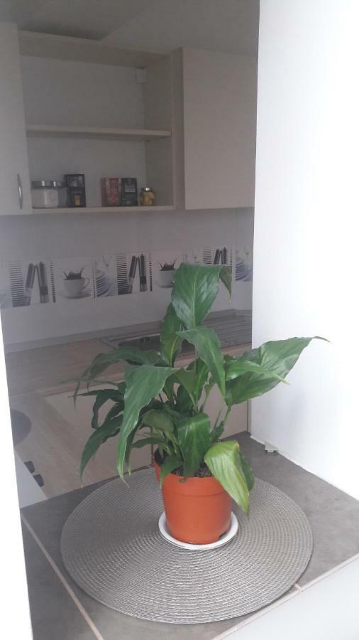 Melody Apartment Alba Iulia Extérieur photo